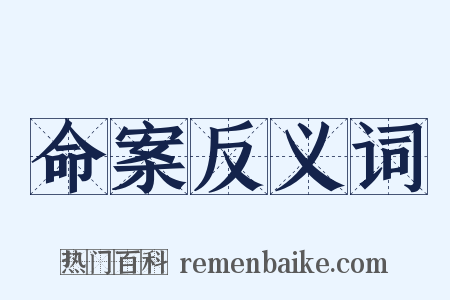 命案反义词是什么意思的图片